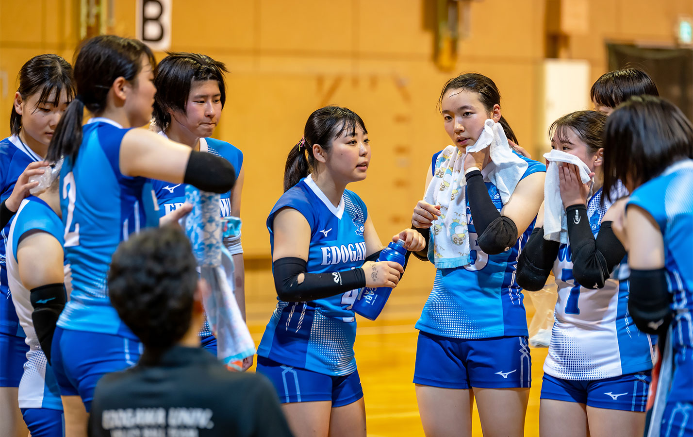 2024年度春季関東大学女子2部バレーボールリーグ戦第4戦　神奈川大学戦